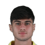 G. Guarino